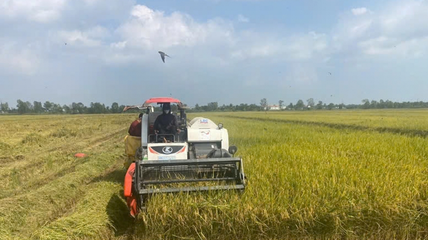 Gỡ “nút thắt” chuyển đổi xanh cho doanh nghiệp